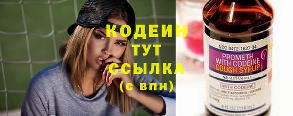 твердый Гусь-Хрустальный