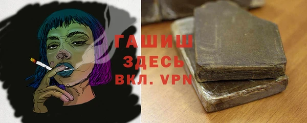 тгк Гусев