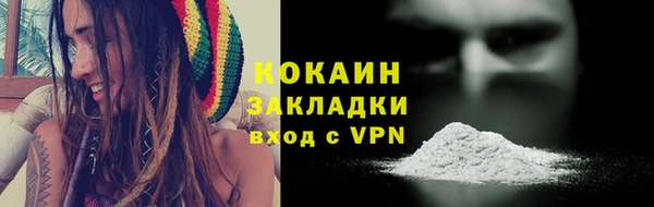 тгк Гусев