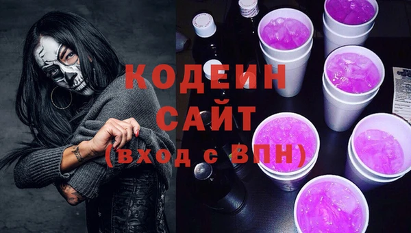 тгк Гусев