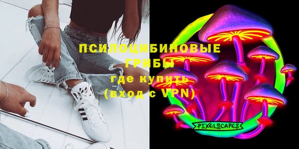 твердый Гусь-Хрустальный