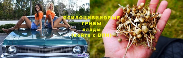 тгк Гусев