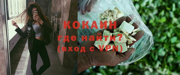 тгк Гусев